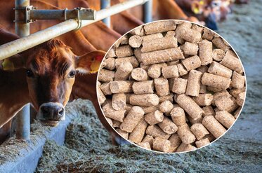 Used in packaging Food Supplements